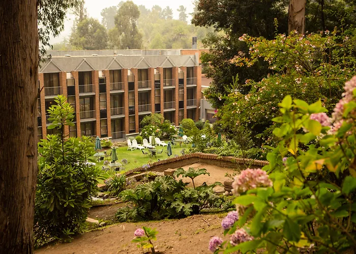 Hotel Bosque De Renaca