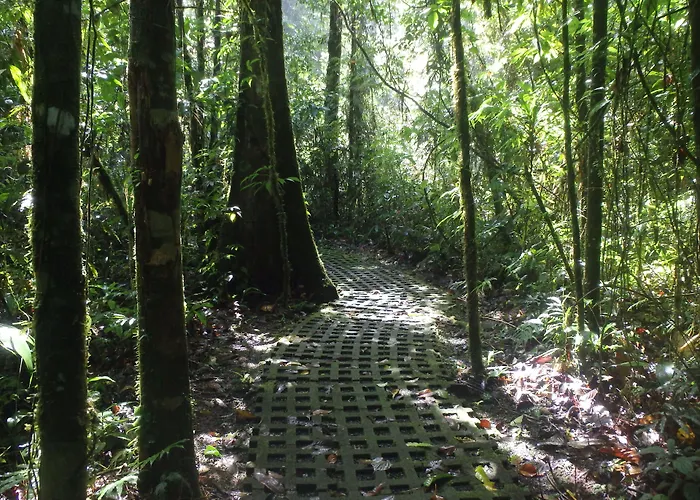Finca Luna Nueva Lodge