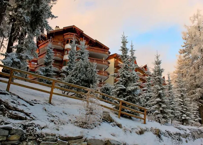 Hôtel accueillant les animaux: Hotel Royal
