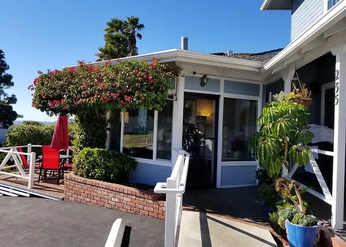 Dog friendly hotels Pleasant Inn