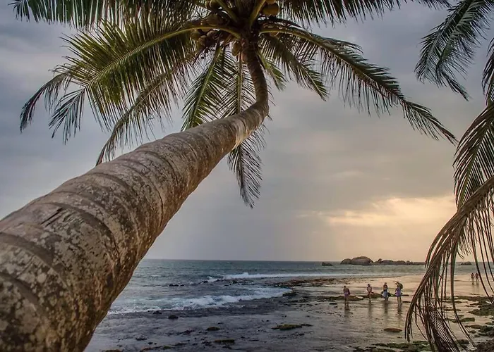 Time N Tide Beach Resort