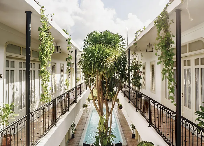 Brown Feather Batu Belig