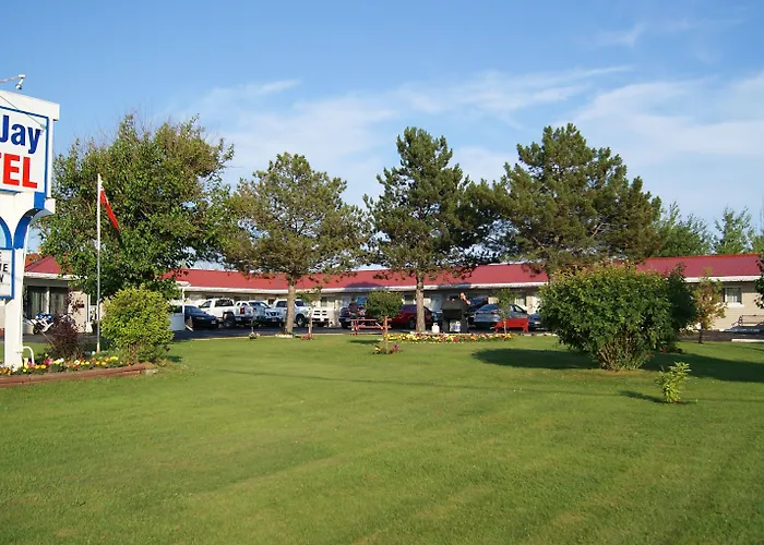 Motel: Blue Jay Motel