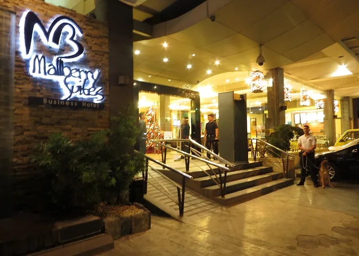 Mallberry Suites Business