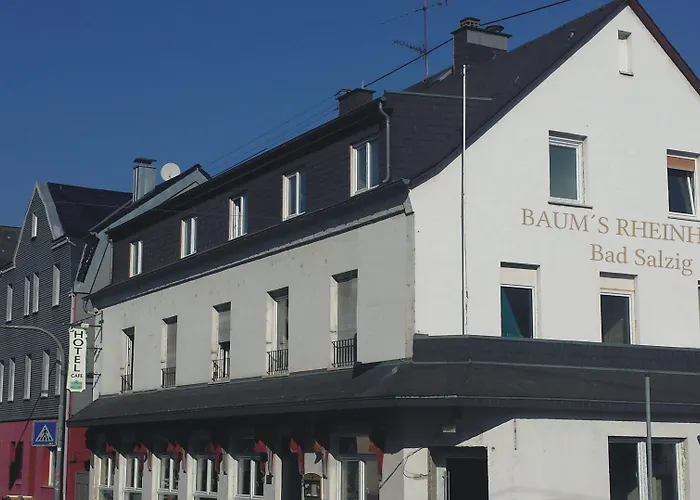 3-Sterne-Hotel: Baum´s Rheinhotel