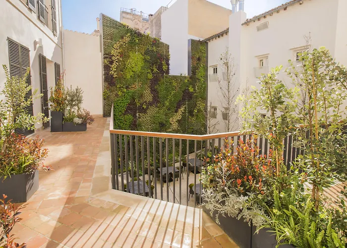 Dog friendly hotels Icon Roseto