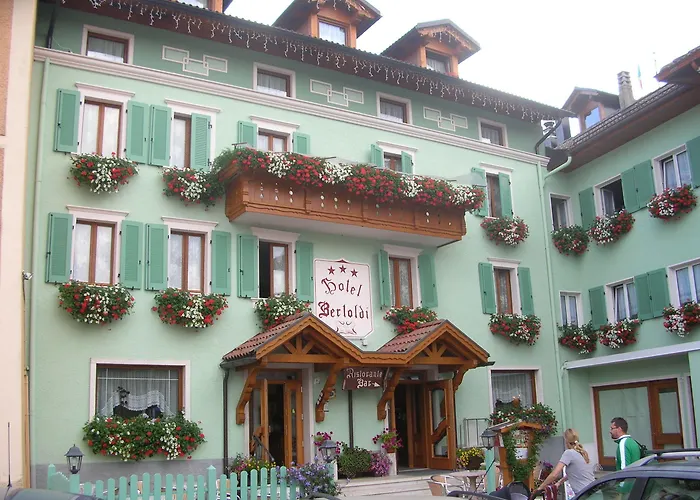  Bertoldi