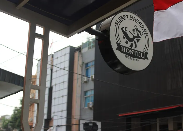 Hotel: Sleepy Raccoon Hostel