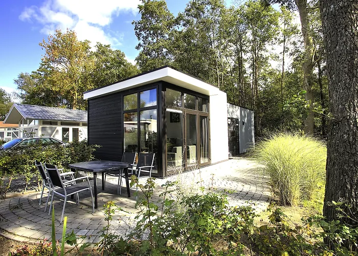 4 sterren hotel: EuroParcs Bad Hoophuizen