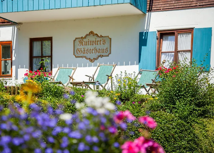 Haustierfreundliches Hotel: Hotel Bad Rain