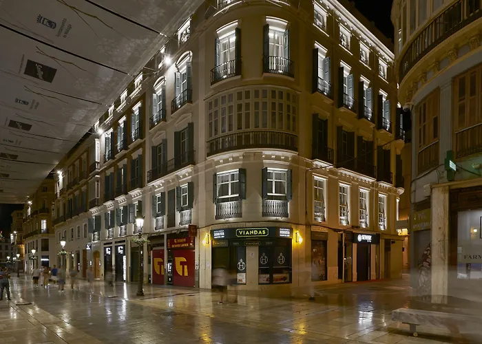 4 sterren hotel: Vincci Larios Diez