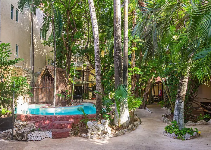 Hotel B&B - Playa del carmen