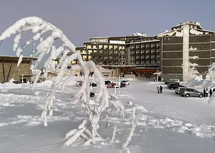 4 sterren hotel: Hotel Levi Panorama