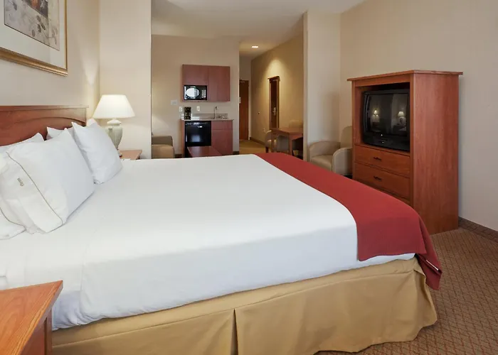 Pet Friendly hotel: Holiday Inn Express Hotel & Suites Carson City By Ihg