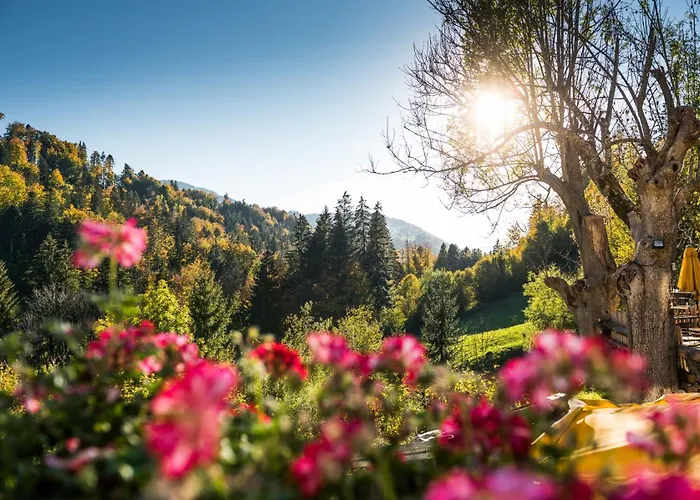 Haustierfreundliches Hotel: Hotel Bad Rain
