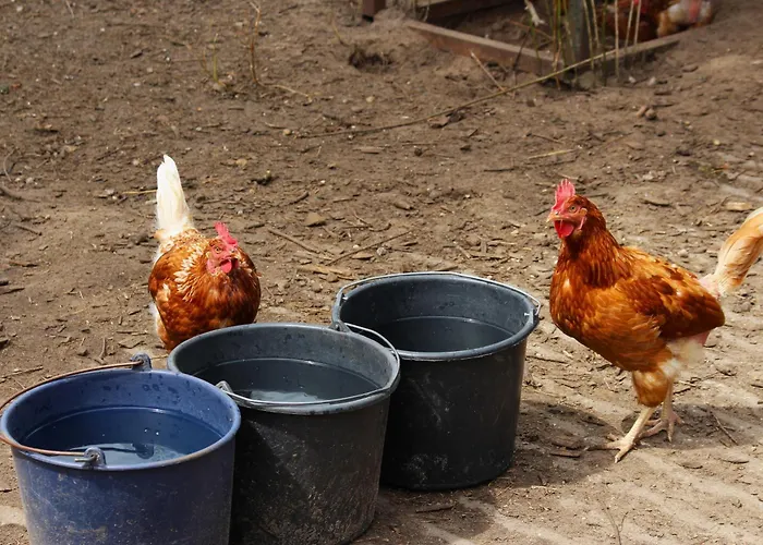 Van der Valk Hotel Apeldoorn