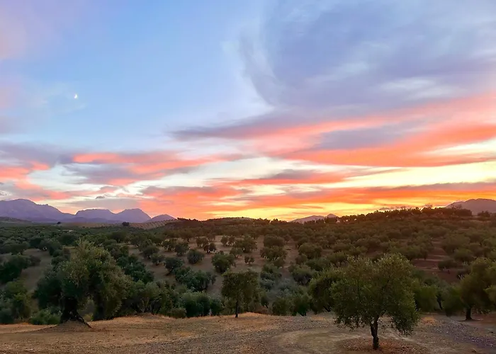 Hotel barato: Hacienda el Tarajal