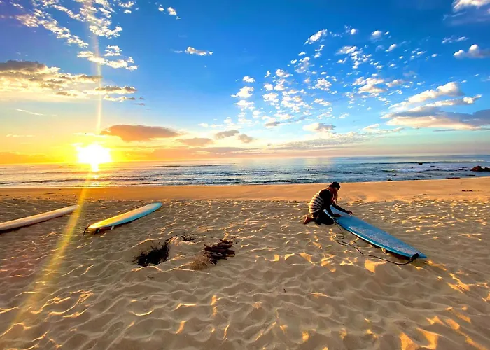 Aloha Surf