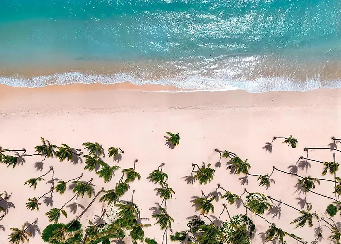 Hotel con vistas: Hyatt Vivid Punta Cana - Adults-Only All-Inclusive Resort