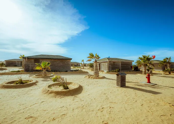 Animaux admis Oasis212 Dakhla
