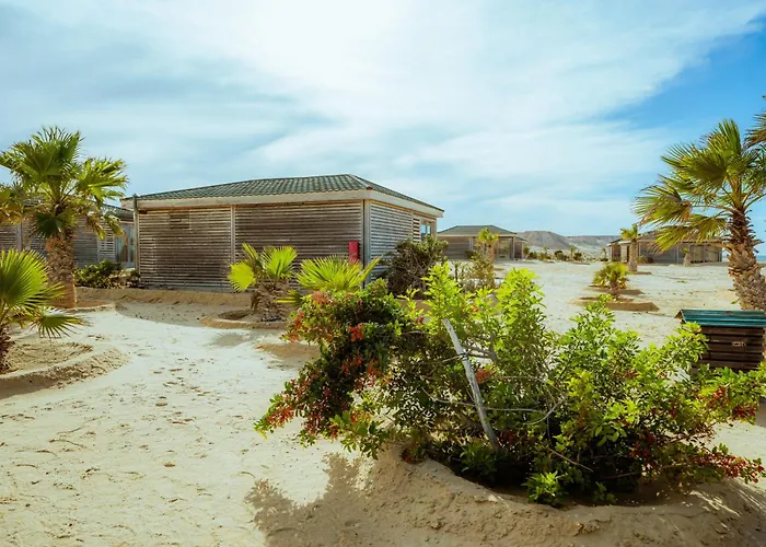 Animaux admis Oasis212 Dakhla