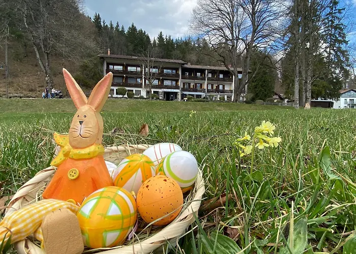 3-Sterne-Hotel: Hotel Ruchti - Zeit für mich