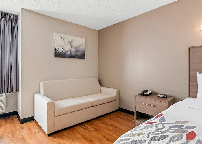 Motel: Red Roof Inn Charlotte - University