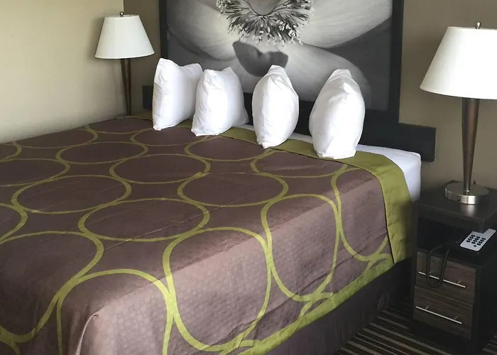 Pet Friendly hotel: Super 8 By Wyndham Florence