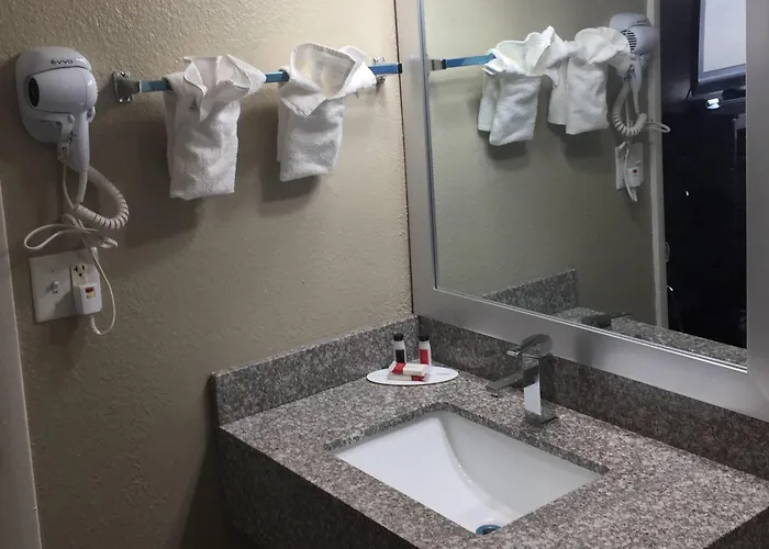 Pet Friendly hotel: Super 8 By Wyndham Florence