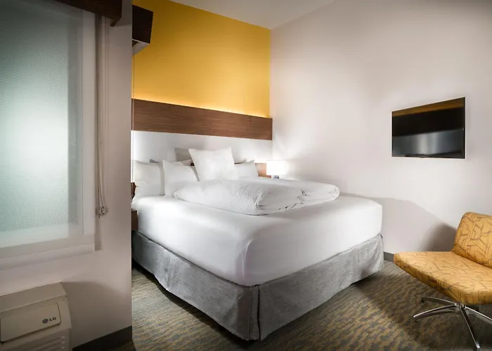 Pets Allowed Hotel Staypineapple, Z, Gaslamp San Diego