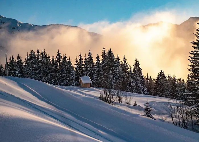 Huisdiervriendelijk hotel: Madeleine Chalet - Snow And Trek - Morzine
