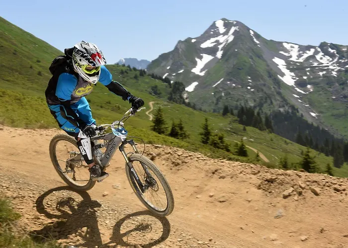 Huisdiervriendelijk hotel: Madeleine Chalet - Snow And Trek - Morzine