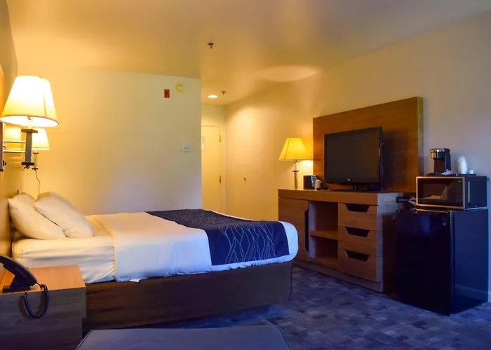 Comfort Bellingham