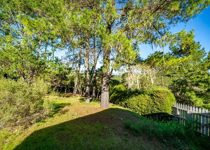 Pines Cabaña
