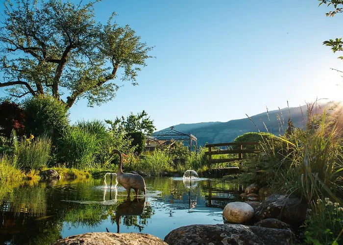 Kohlerhof - 4 Star Wellness & Active Hotel