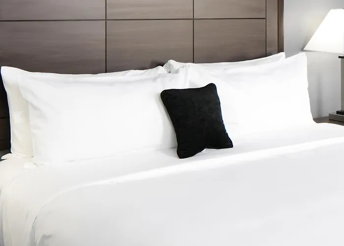 Hotels Close to Airport Ramada By Wyndham Houston Intercontinental Airport South
