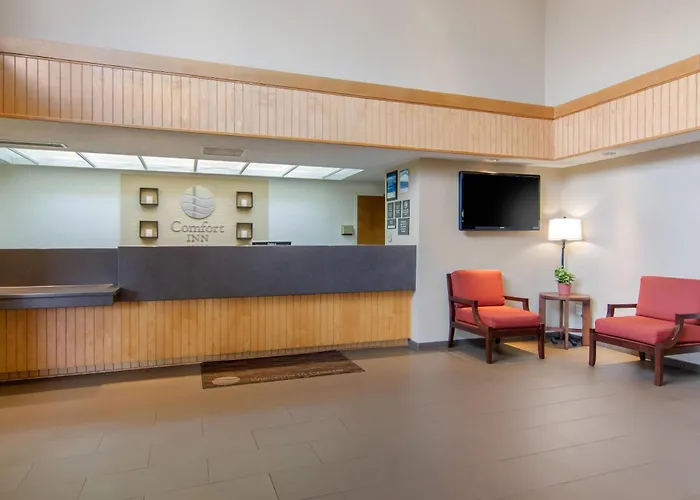 Hotels with pool Comfort Chester - Richmond South