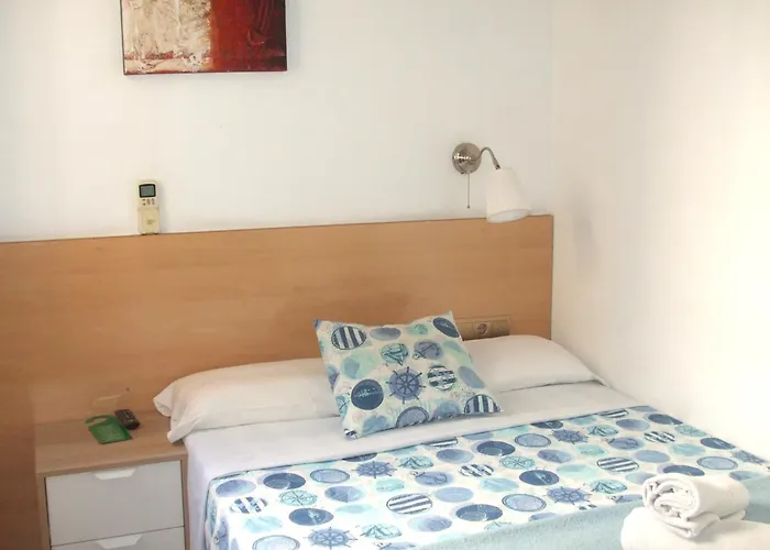 Animaux admis Hostal Felipe 2