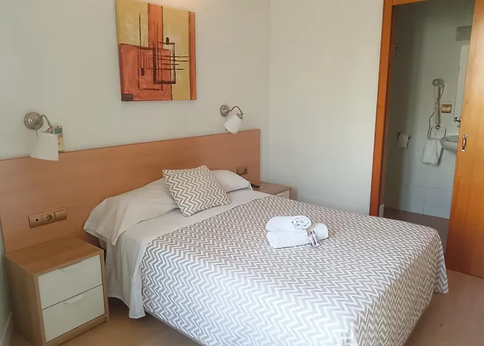 Animaux admis Hostal Felipe 2