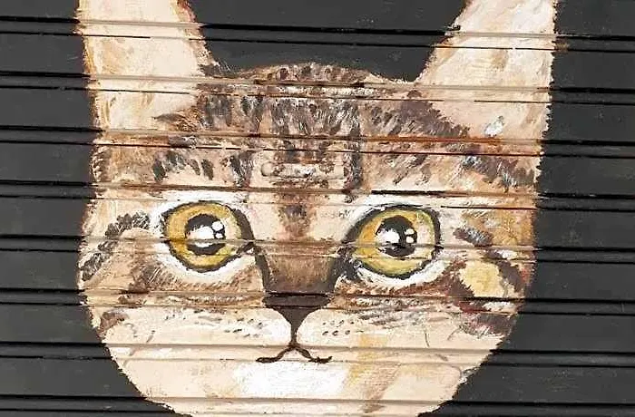Cocoa Mews Cafe And Homestay