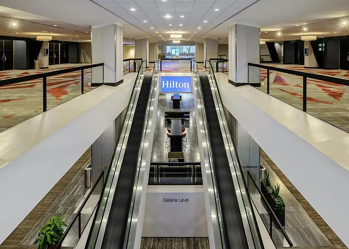 Animaux admis Hilton Atlanta