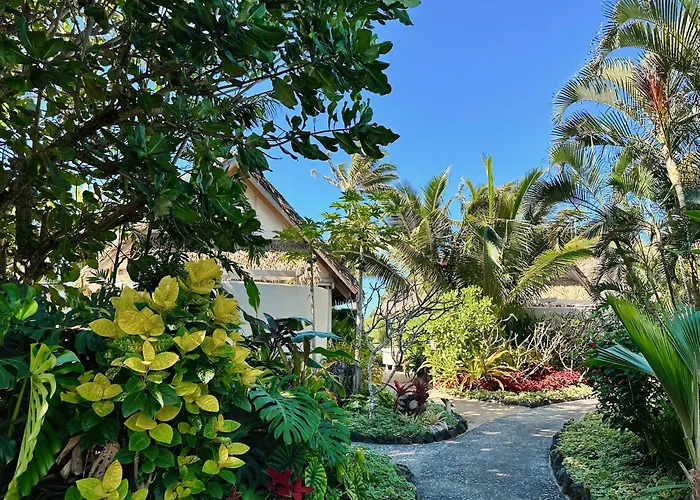 Little Polynesian