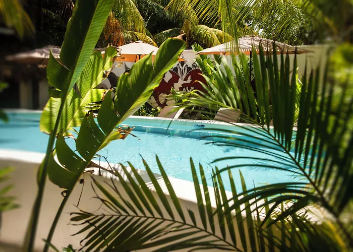 El Corazon Boutique - Adults Only With Beach Club Pass Included