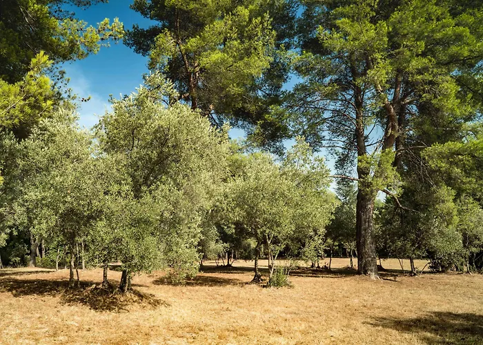 Domaine De Saint Clair