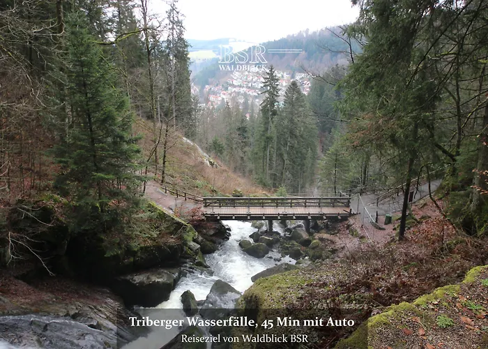Waldblick