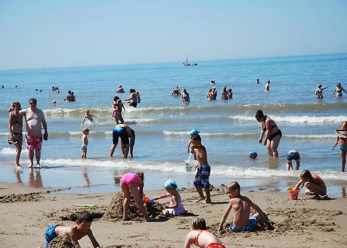 B&B: Bed And No Breakfast Joy