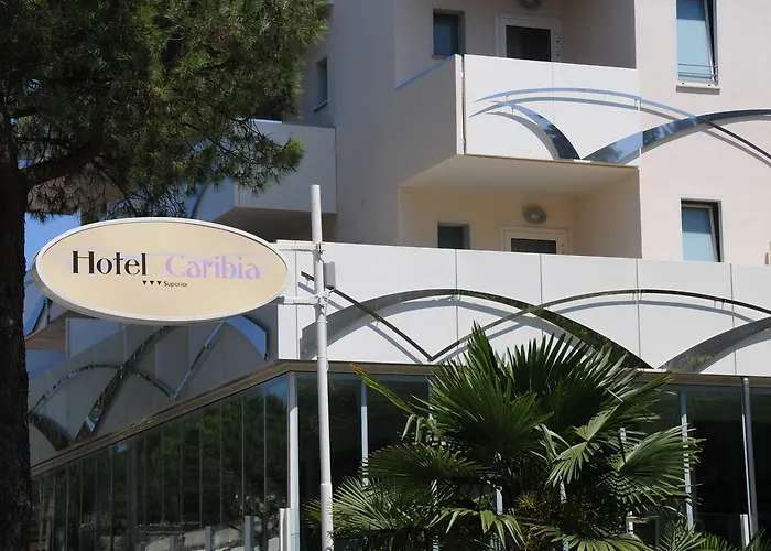 Hotel Ping Pong: Hotel Caribia Pinarella