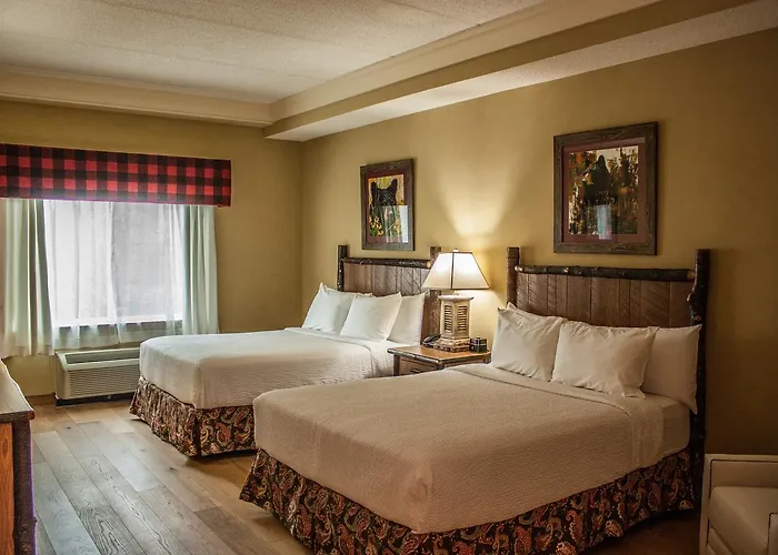 Appy Lodge