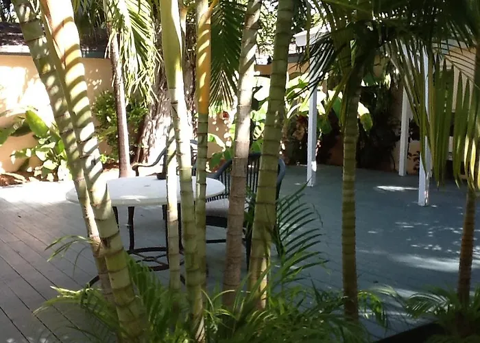Dog friendly hotels Banana Bay Resort (Adults Only)