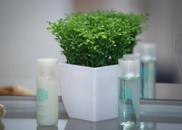 Hotel cerca del aeropuerto: Old Town Hotel